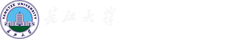 2026美加墨世界杯